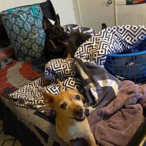 Meet your Posher, Laura